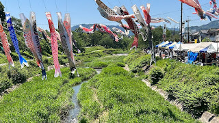 南浅川のこいのぼり